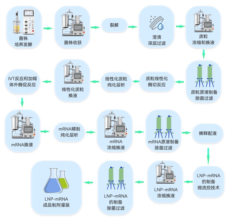 振兴东北医药产业：黑龙江悦泰药业在行动